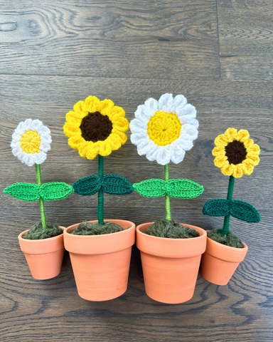 Craftify Mom - Crochet Potted Plants - 1