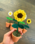 Craftify Mom - Crochet Potted Plants - 2