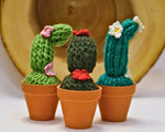 Craftify Mom - Crochet Potted Plants - 3