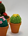 Craftify Mom - Crochet Potted Plants - 4