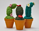 Craftify Mom - Crochet Potted Plants - 5