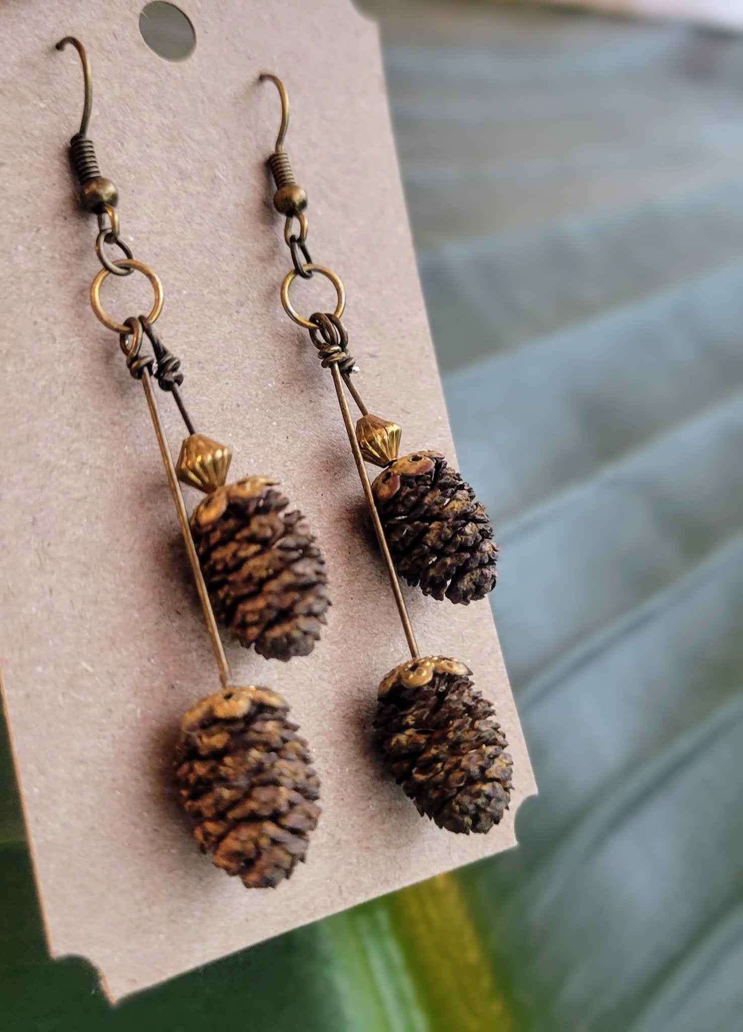 Kiwi's Curios - Alder Cone Earrings