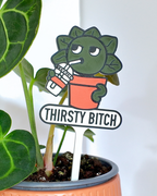 5fef922b396f5759083117ff_400026-plant-stake-close-up_1781875325283.png