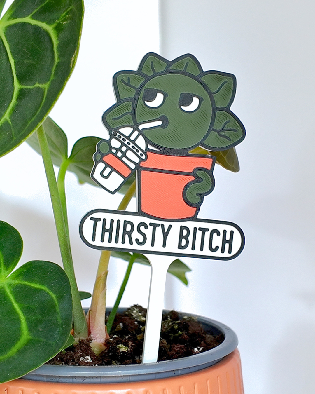 5fef922b396f5759083117ff_400026-plant-stake-close-up_1781875325283.png