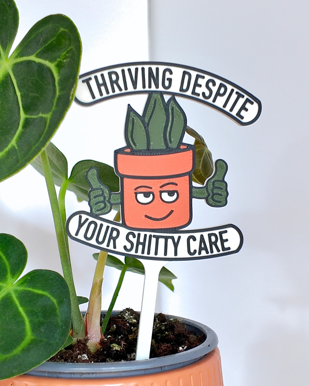 5fef922b396f5759083117ff_400029-plant-stake-close-up_1781875341492.png