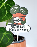 5fef922b396f5759083117ff_400037-plant-stake-close-up_1781875442000.png