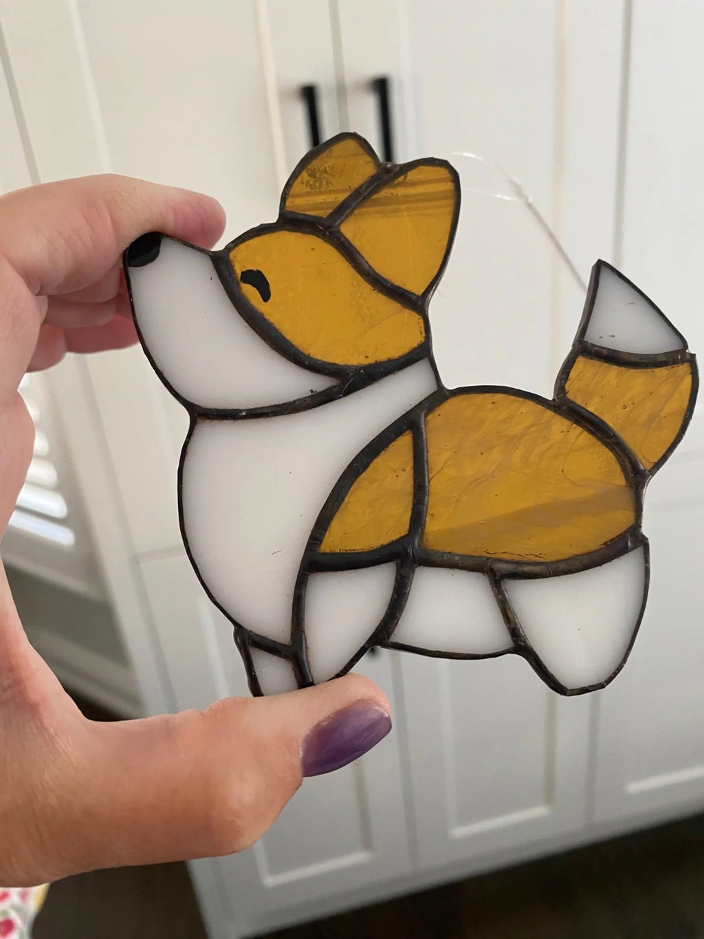 5fef922b396f5759083117ff_corgi_1775604532138.jpg