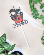 5fef922b396f5759083117ff_is-this-legal-plant-tag_1778096492116.png