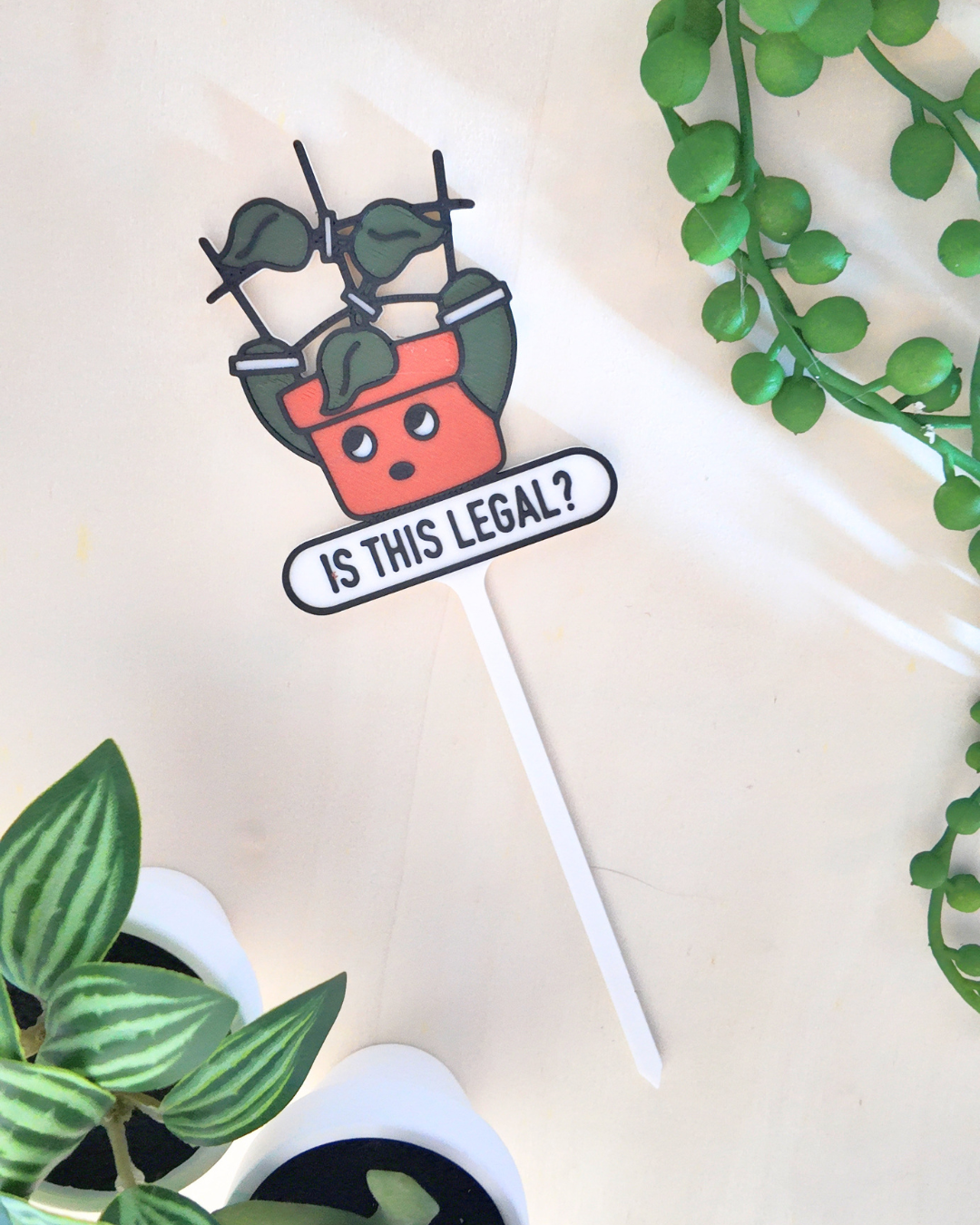 5fef922b396f5759083117ff_is-this-legal-plant-tag_1778096492116.png