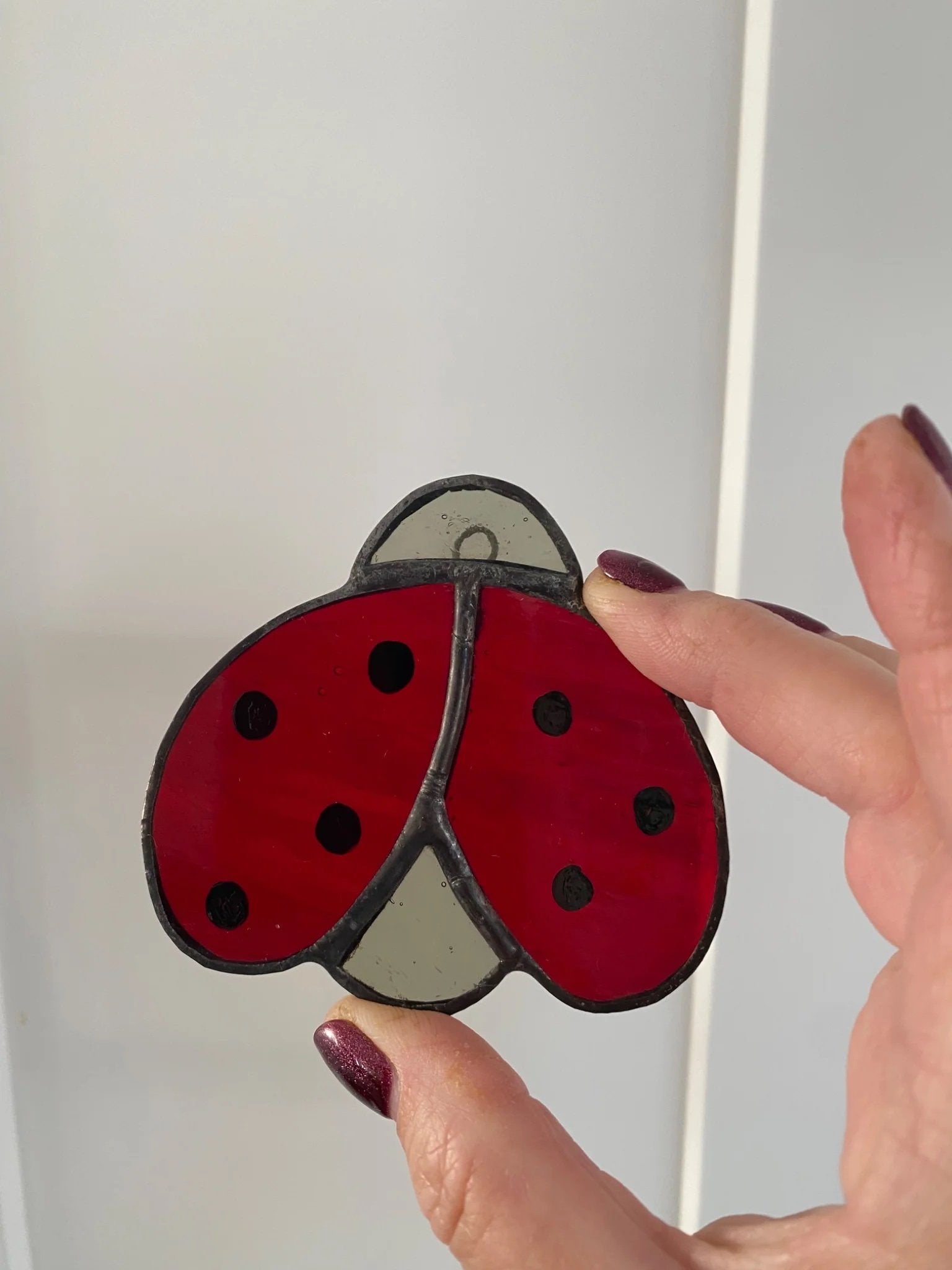 5fef922b396f5759083117ff_lady-bug_1775604705591.jpg