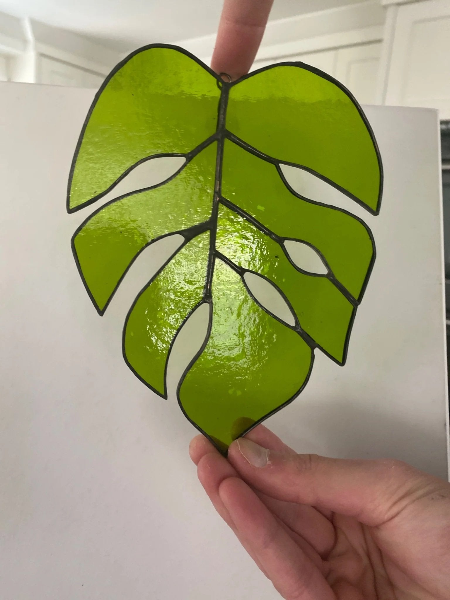 5fef922b396f5759083117ff_large-monstera_1775607166854.jpg