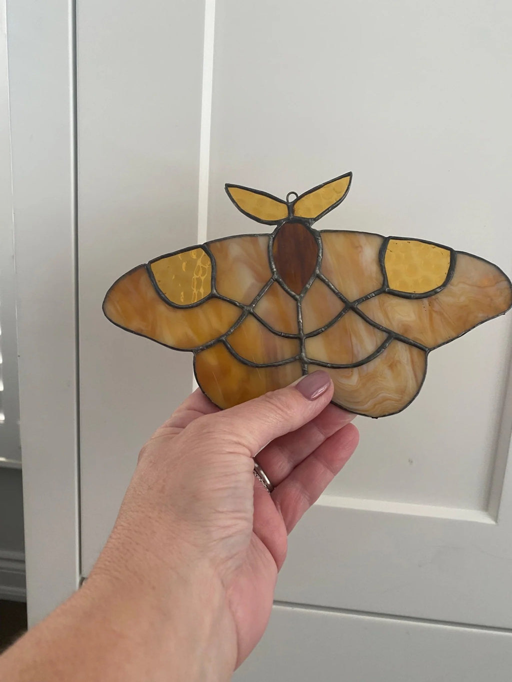 5fef922b396f5759083117ff_luna-moth_1775604607883.jpg