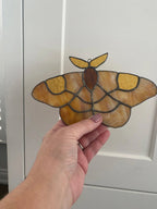 5fef922b396f5759083117ff_luna-moth_1775604607883.jpg