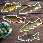 Fishful Thinking Art by Abby Wynia - 4" Vinyl Sticker - 1