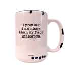 Coco + Bie - Nicer Than My Face Indicates - Funny Mug, Sassy Mug