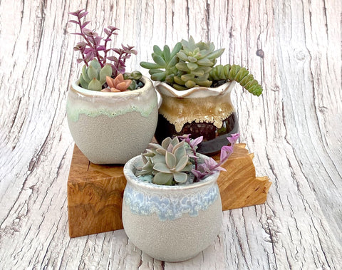 Leaf & Chick - Premium Mini ($17) - 1