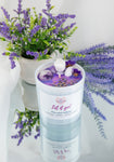 The Celestial Garden - SOY CANDLES