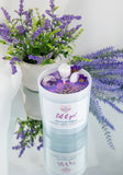 The Celestial Garden - SOY CANDLES