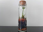 Rita Dora Gallery - 93100500 Mini Moss Terrarium - 4