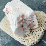 Cleanse -  Soap Saver - 1